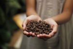 “Studio Istituto superiore sanità”, la caffeina ha effetto protettivo contro melanoma