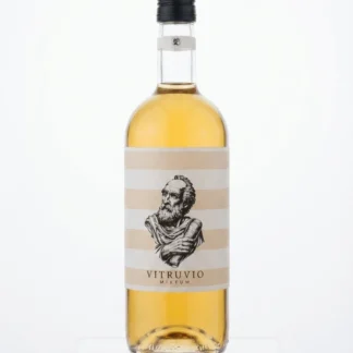 Vitruvio Mixtum - Vermuth, bitter e Gin 100 ml - L'Equilibrio Perfetto